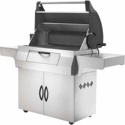 PRO605 Kolgrill