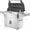 PRO605 Kolgrill