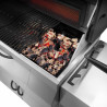 PRO605 Kolgrill