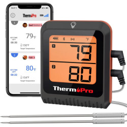 thermopro-tp920